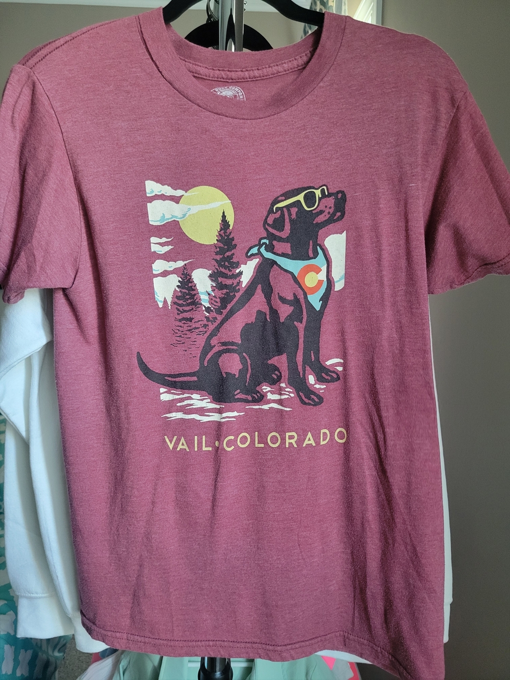 Vail Colorado Dog Graphic Tee - Dusty Rose
